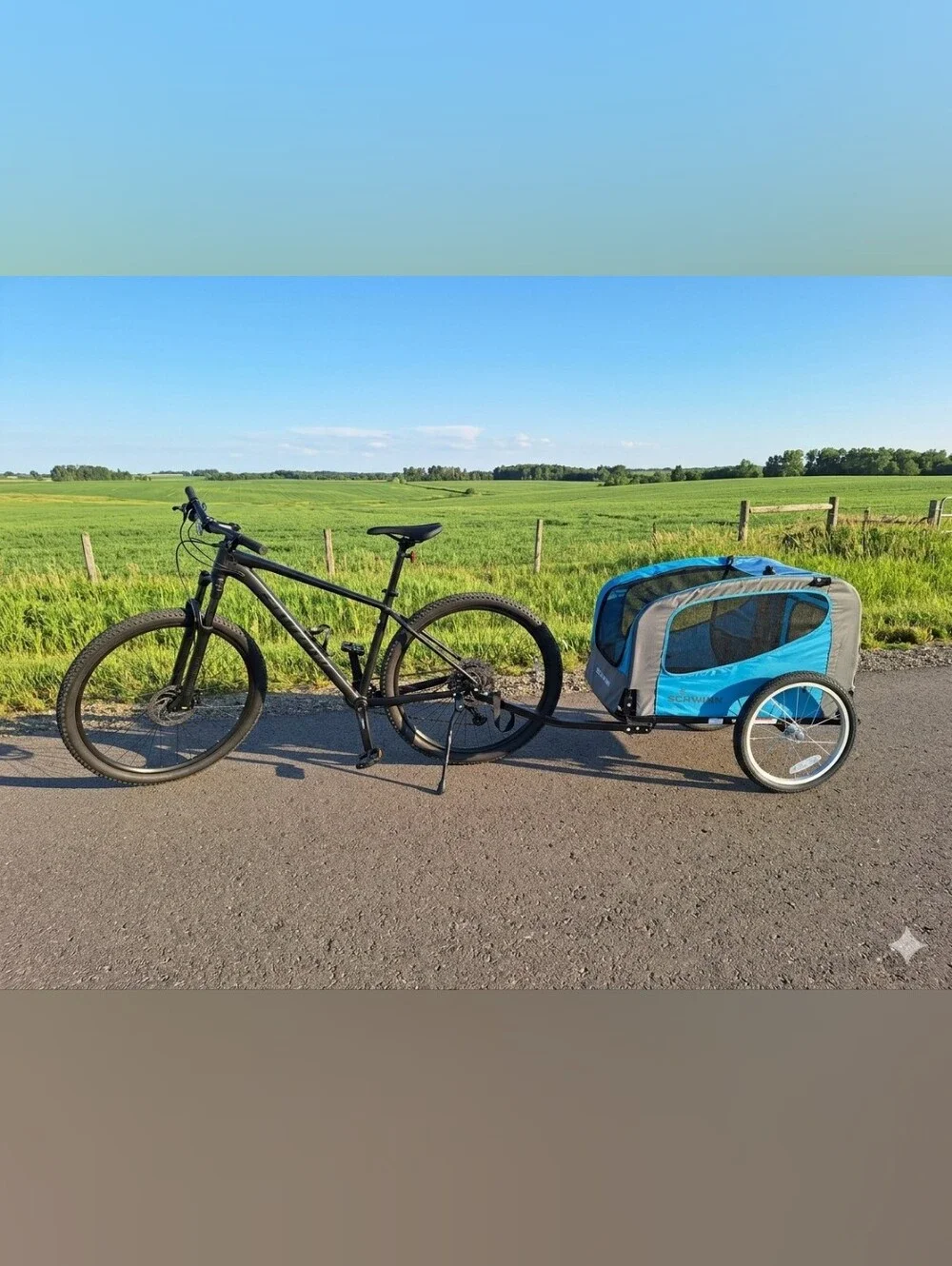 Blue Schwinn Pet Trailer
